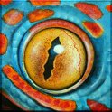 Augenblick eines Tokees I Acryl auf Leinwand;
30 x 30 cm